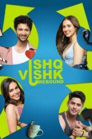 Ishq Vishk Rebound (2024) Hindi HD