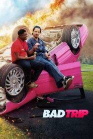 Bad Trip (2021) Hindi Dubbed