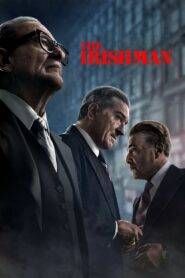 The Irishman (2019) Hindi Dubbed