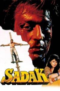 Sadak (1991) Hindi HD