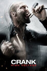 Crank 2 High Voltage (2009) Hindi Dubbed