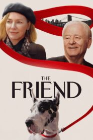 The Friend (2025) Hindi Dubbed
