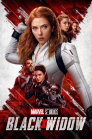 Black Widow (2021) Hindi Dubbed
