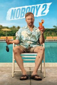 Nobody 2 (2025) Hindi Dubbed HD