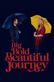 A Big Bold Beautiful Journey (2025) Hindi Dubbed