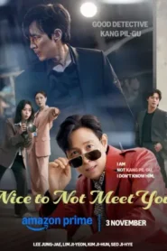 Nice to Not Meet You (2025) Hindi Season 1 Complete