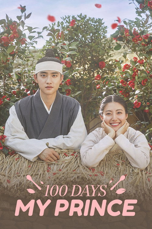 100 Days My Prince (2018) Hindi Season 1 Complete AMZN
